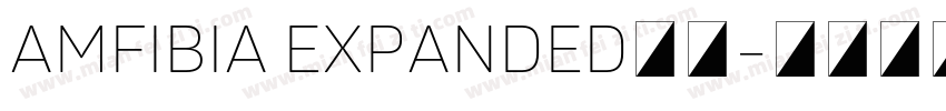 AMFIBIA EXPANDED字体字体转换